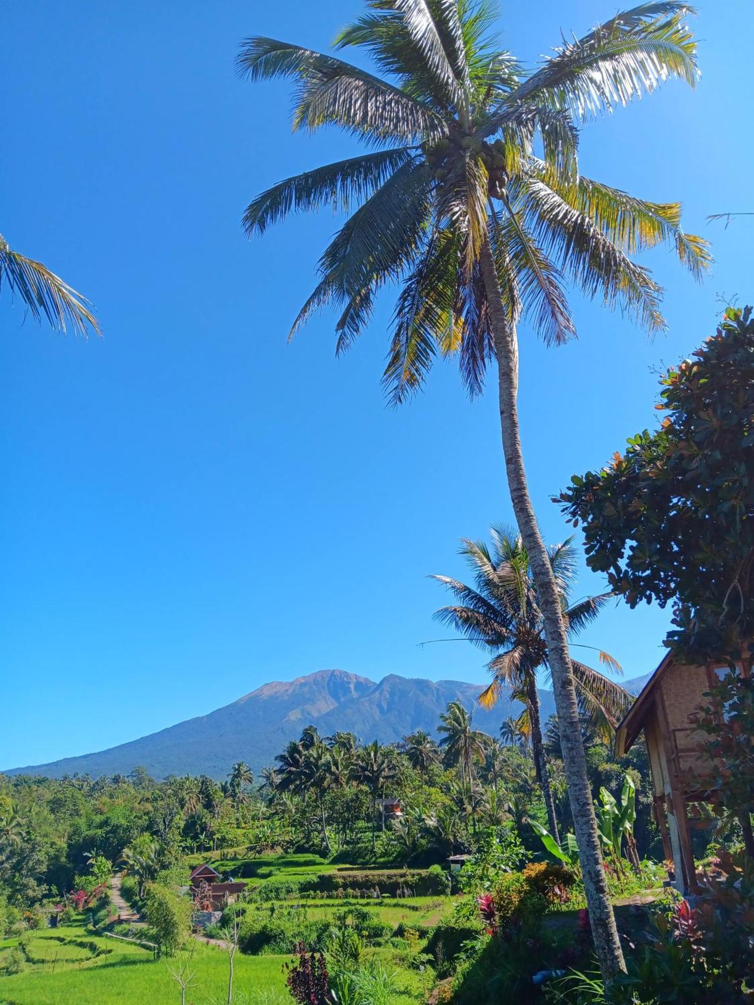 Dewi Rinjani Homestay Tetebatu Exterior foto