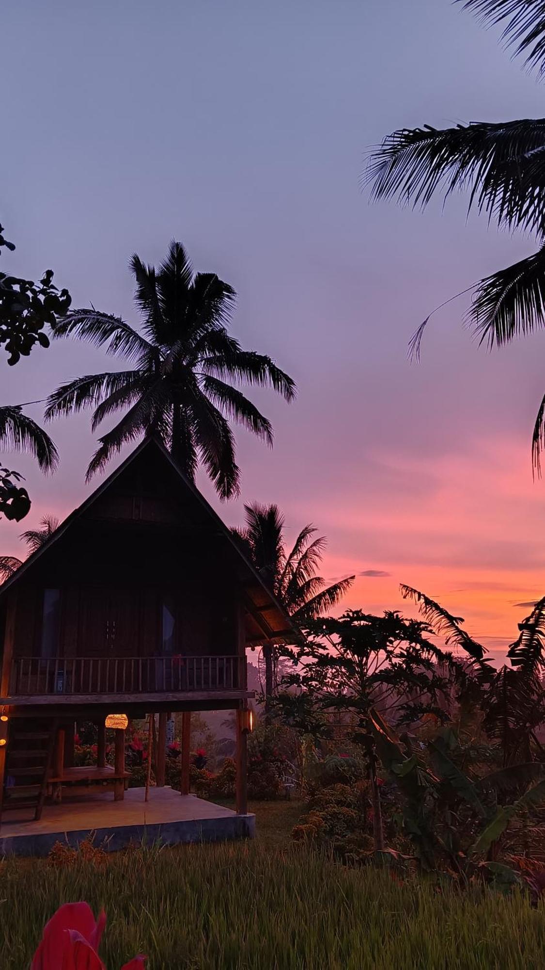 Dewi Rinjani Homestay Tetebatu Exterior foto